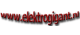 Elektrogigant